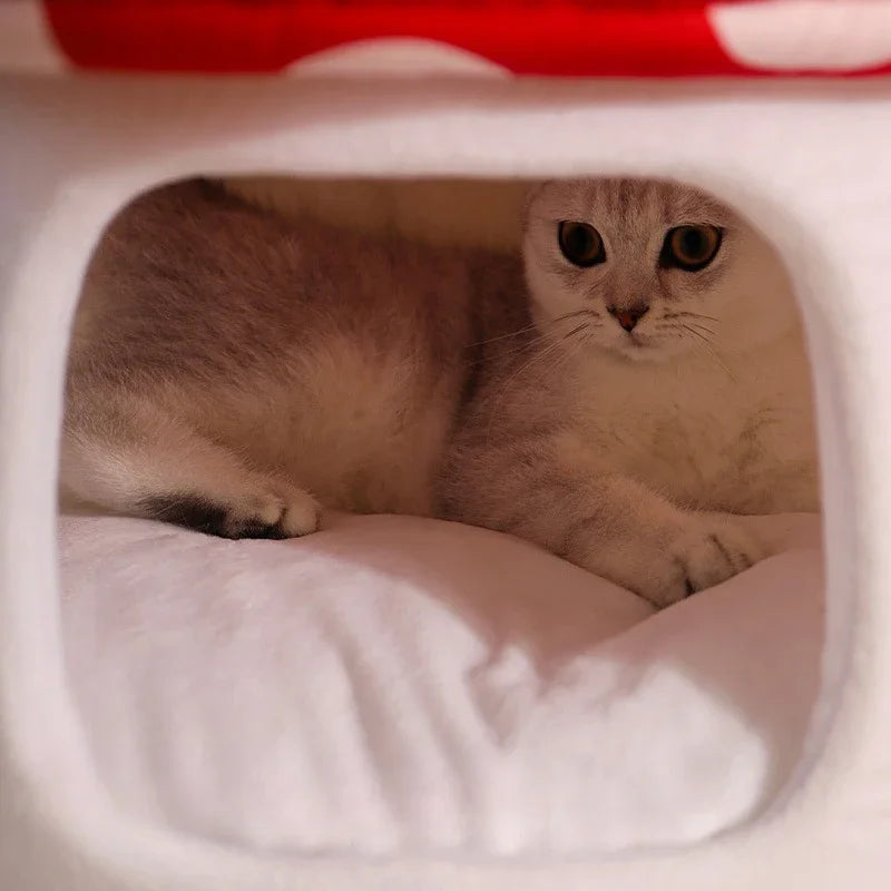 Sfc9b2950736d42aebee3af50a96a44e7Q